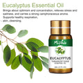 Beauty Aromatherapy Essential Oil